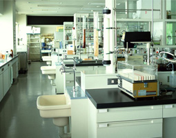 Gas Phase Filtration